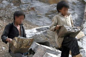 勞動與榮軍社會部建議徵詢有關禁用童工的88種工作。（示意圖源：互聯網）