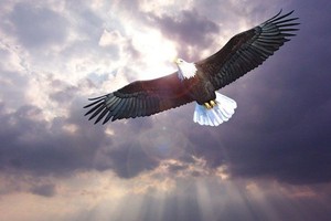 （示意圖源：互聯網）