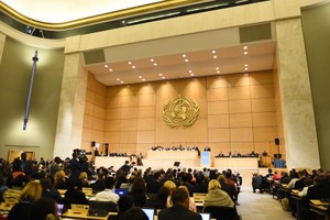 世界衛生大會當地時間26日在日內瓦閉幕。（圖源：互聯網）