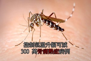 控制氣溫升幅可減 300 萬骨痛熱症病例 。（示意圖源：互聯網）