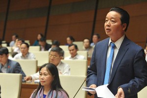 資源與環境部長陳紅河在國會議事堂上發言。