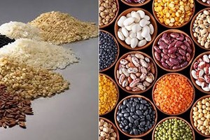 我國企業特別關注阿根廷所出產的五穀雜糧。（圖源：VOV）