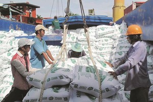 圖為大米出口裝船一瞥。（示意圖源：互聯網）