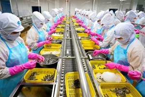 我國蝦類出口經常遭遇反傾銷稅羈絆。