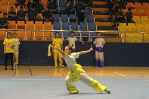 2018年全國青年武術錦標賽開幕式暖場表演一瞥。（圖源：越通社）