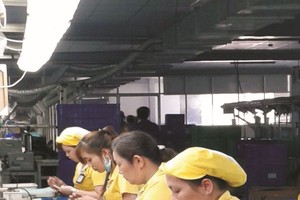 大部分女員工對工作充滿熱愛。