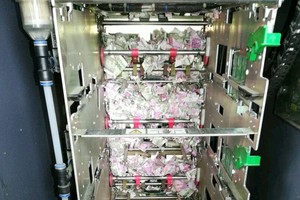 ATM 機內鈔票全成碎片，元兇是老鼠。（圖源：互聯網）