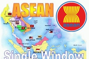 海關總局：有關國家單一窗口機制展開的同時，越南已成為參加東盟(東協)單一窗口機制地區(ASW)的積極成員。（示意圖源：互聯網）