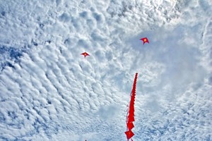 風箏節本週末表演。