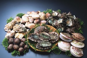 貝類食物怎樣吃健康又美味。（示意圖源：互聯網）