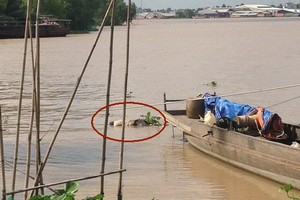 死者屍體浮出水面上。（圖源：市公安報）