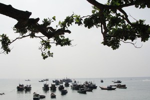 李山海保存區一瞥。（圖源：V.Q.C）