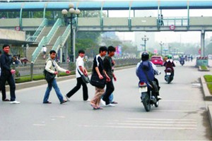 徒步者也須嚴正執行交規以保護他人及自身的安全。