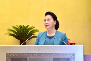 國會主席阮氏金銀在會議上發言。（圖源：Quochoi.vn）