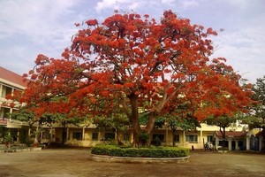 再見了，親愛的母校。（示意圖源：互聯網）