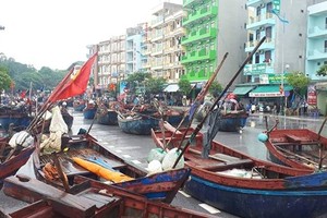 漁船歸港避颱風。