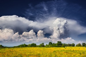 世界氣象組織表示，今年六七月份，北半球經歷了大規模降雨和持續高溫等極端天氣。（圖源：世界氣象組織）