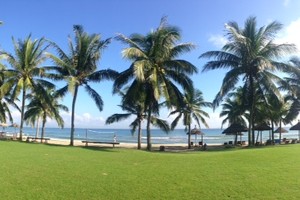 棕櫚花園（Palm Garden）度假村一瞥。