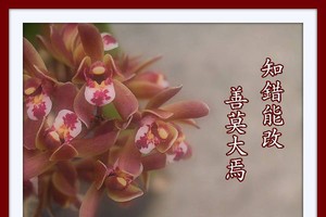 （示意圖源：互聯網）