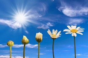 （示意圖源：互聯網）