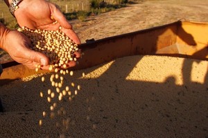 美國政府將對在貿易戰中遭受損失的農民給予120億美元補貼。（示意圖源：互聯網）