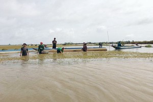 同塔多地的稻田被洪水淹沒。