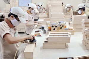 備受外國市場歡迎的木製品生產線。