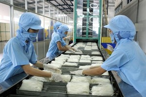 工人生產米粉一瞥。