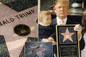 “特朗普之星”將被永久移除好萊塢星光大道。（圖源：互聯網）