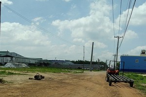 同奈省福新工業小區一瞥。（圖源：武會）