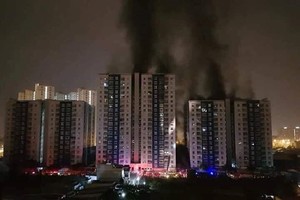 Carina 公寓管委會主任阮國俊被起訴。圖為第八郡Carina公寓3月23日凌晨發生大火致13人死亡。（圖源：蔡玲）