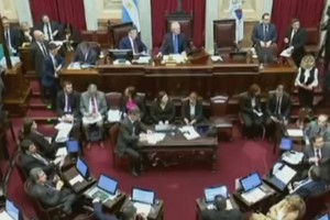 阿根廷參議院否決墮胎合法化法案。（圖源：互聯網）