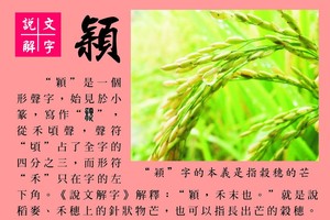 說文解字 『穎』