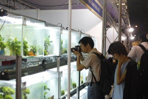 第三次觀賞魚盛會將從本月20至24日在第十一郡李常傑街215C號體育勞務中心舉辦。圖為2017年第二次觀賞魚盛會一瞥。（圖源：互聯網）