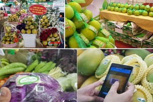 知識產權局：截至今年3月，我國約有1000種商品當中有66個地理標誌。（示意圖源：互聯網）