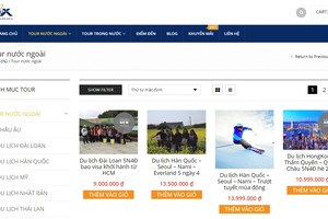 建議終止 Golux 網站活動。（圖源：網站截圖）