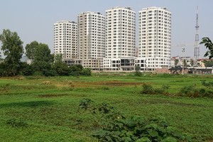 本市土地的補償、輔助和安置有了新規定。（示意圖源：互聯網）