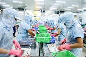 我國企業加工水產品出口。