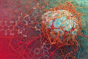 最新合作研究發現，新型化合物可讓腫瘤無法「呼吸」。（示意圖源：互聯網）