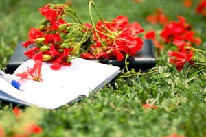 （示意圖源：互聯網）