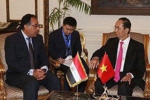 國家主席陳大光與埃及總理馬德布利會晤。（圖源：VOV）