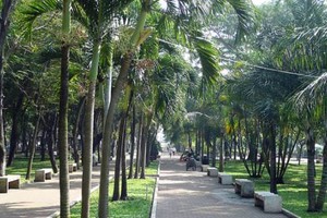 調撥財政預算整飭“九‧二三”公園。圖為“九‧二三”公園一瞥。