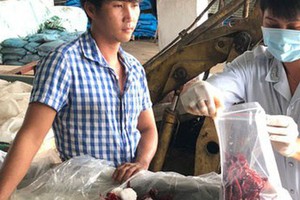 職能力量收取志強私營企業的鹹辣椒樣品做檢驗。