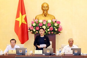 國會主席阮氏金銀在會議上致開幕詞。（圖源：仲德）