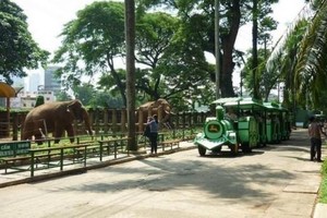 西貢動物園一瞥。（圖源：互聯網）