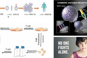 CAR-T 全面升級，有望消除實體腫瘤