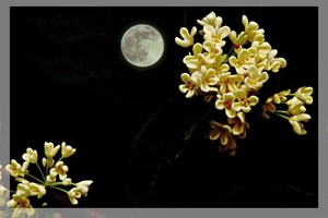 （示意圖源：互聯網）