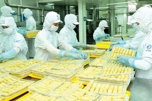 CJ 竹橋公司的春捲生產線。