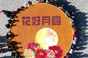 俯瞰象徵著幸福與團圓的“花好月圓”大月餅。（圖源：互聯網）