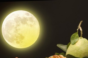 （示意圖源：互聯網）